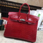 Hermes Birkin 25 Crocodile leather Red